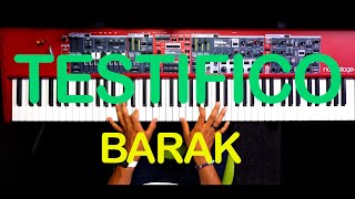 Testifico  Barak Piano Cover [upl. by Nemsaj]