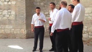 Traditional Dalmatian Klapa Singing at Diocletians Palace Split Croatia [upl. by Latoniah]