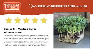 Customers love True Leaf Market Microgreens seeds [upl. by Notneiuq]