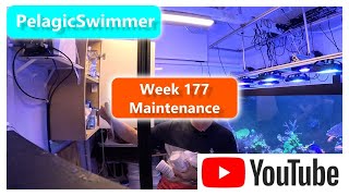 Week 177 Maintenance [upl. by Octavia]