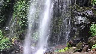 Waterfall sound Roaring Waterfall White Noise  Study Relax or Sleep with Relaxing Water Sounds [upl. by Heloise]