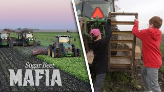 The Next Generation  SUGARBEET MAFIA 2023 Part 3 [upl. by Hanima]