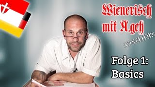 Wienerisch mit Ageh Wirklich  Folge 1 Basics [upl. by Kciremed]