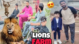 Pakistan Ka Biggest Lions Farm Visit Kia 😍 Lion Cub Pass and Gaya ❤️ [upl. by Valery]