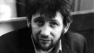 Shane MacGowan  An Irish Airman Forsees His Death Yeats [upl. by Wasserman]