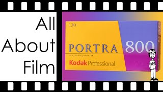 Kodak Portra 800 Film Review Sample Photos 35mm and 120  All About Film [upl. by Lerret423]