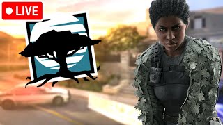 🔴LIVE  RAINBOW SIX SIEGE TIME [upl. by Ronyar907]