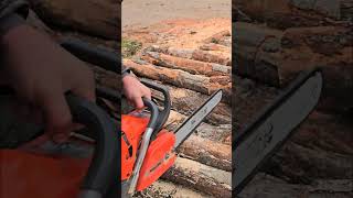 Бензопила Oleomac GS650 из Италии wood chainsaw [upl. by Katrine930]