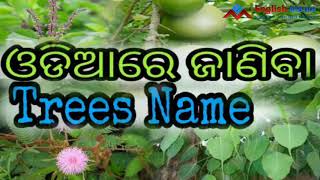 Tree names in Odia  easy learning English  Vocabulary Development [upl. by Zacharias]