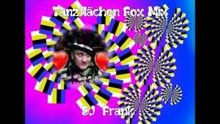 Tanzflächen Fox Mix  DJ Frank [upl. by Reinaldo862]