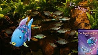 Helft den Freunden  Regenbogenfisch und der Wal Folge 1 Deutsch HD [upl. by Ahsiekit]