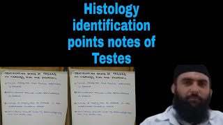 Histology identification points of TestesMBBS and BDS lectures by Dr Alamdin [upl. by Nnylatsyrc]