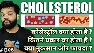 What Is Cholesterol In Hindi  HDL amp LDL Explained [upl. by Whitney]