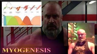 Muscle Farming How Myogenesis might allow quotPerpetualquot Gains [upl. by Karrie]