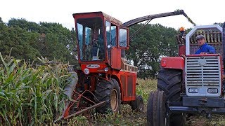 14 Classic Forage Harvesters  OldTimer Hakseldag Dalen 2018   Tillage bonus [upl. by Stulin]