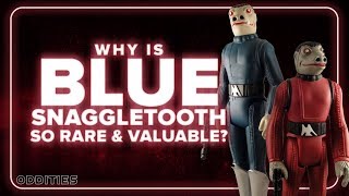 Why is Blue Snaggletooth So Rare amp Valuable  Oddities 10 [upl. by Keeley905]