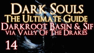 DARK SOULS  THE ULTIMATE GUIDE PART 14  DARKROOT BASIN  SIF VIA VALLEY OF THE DRAKES [upl. by Enaenaj]