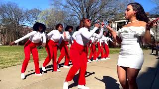 Mu Rho Chapter of Delta Sigma Theta Vanderbilt University  PROBATE Spr 22 [upl. by Crowe118]