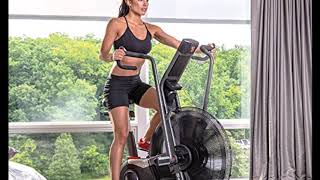 Schwinn Airdyne Pro Review Exercise Bike [upl. by Rayle]