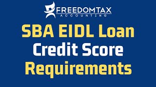 SBA EIDL Loan Minimum Credit Score Requirements [upl. by Ailalue]