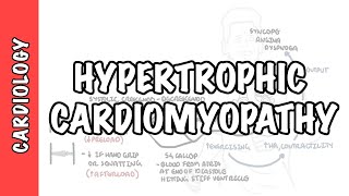 Hypertrophic cardiomyopathy  signs and symptoms causes pathophysiology treatment [upl. by Losse823]