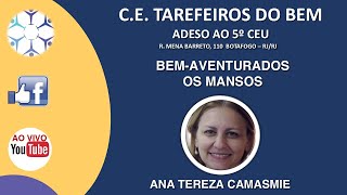 Bem aventurados os mansos  Palestrante Ana Tereza Camasmie [upl. by Sergius]