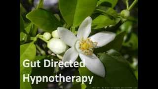 Gut Directed Hypnotherapy [upl. by Balsam468]