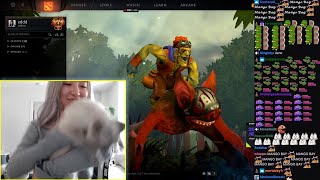 Dove amp cat dancing to Mango Bay during Arteezy ad break [upl. by Christye987]