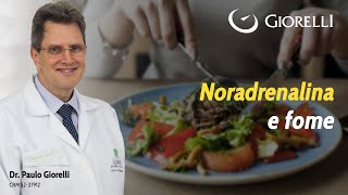 Noradrenalina e fome [upl. by Eicirtap]