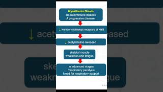 Myasthenia Gravis [upl. by Winsor994]