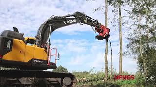 Cirkelzaag Bomengrijper  Groeneveldt Grijpers  Ufkes Greentec  Tree Felling [upl. by Mosenthal]