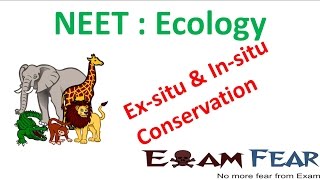 NEET Biology Ecology  Exsitu and Insitu Conservation [upl. by Hart]