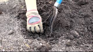 Gardening  Loosening Soil and Weeding Before Planting [upl. by Lyndsay]