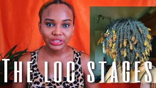 THE FOUR STAGES OF LOCS THE PROCESS YOUR LOCS GO THROUGH [upl. by Rogovy711]