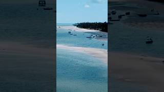 Praia dos Carneiros por Mini 4 Pro mini 4 praia drone nordeste travel recife [upl. by Yeloc]