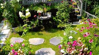 Cozy Tiny Garden in the Summer  Plants flowers Garden Tour garden gardening plants flowers new [upl. by Aneekahs]