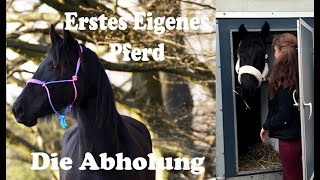 Erstes eigenes Pferd  Abholung von Junkern Beel [upl. by Thurman823]