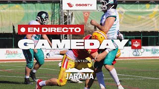 LNFA 2024  Osos Rivas vs Gijón Mariners [upl. by Burget]