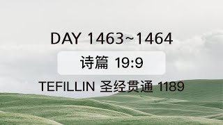 Tefillin Day 14631464 诗篇 199 宣布圣经 50次 [upl. by Alick]