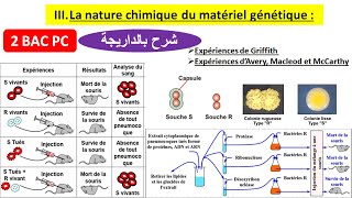 Nature chimique de linformation génétique 2 bac pc شرح بالداريجة [upl. by Naillil]