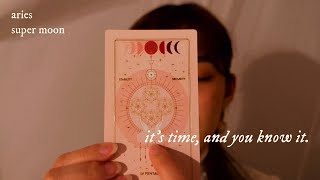 Full Moon Messages 🤍  asmr tarot soft spoken card tapping sounds [upl. by Huskey]