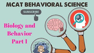 MCAT Behavioral Science Chapter 1  Biology and Behavior Lecture 14 [upl. by Armond]