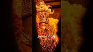 காமாட்சி 😍🙏🙇 kamatchi god amman devotionalsongs [upl. by Aryajay256]