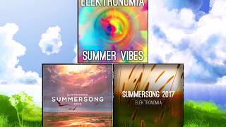 Elektronomia  Summersong 20172018Vibes Mashup [upl. by Ydac701]