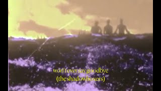 The Shadowboxers  WONT EVER SAY GOODBYE  Official Visuals [upl. by Aelyk]