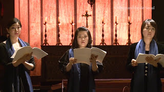 Monteverdi Beatus Vir  Collegium Vocale Seoul 콜레기움 보칼레 서울 [upl. by Zippel]