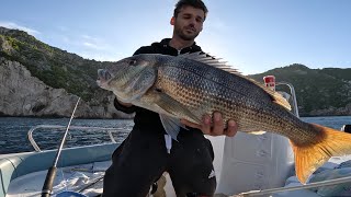 Mbreteresha detit peshku me I bukur Peshkim jigging Big snapper Fishing in Greece [upl. by Eirrej836]