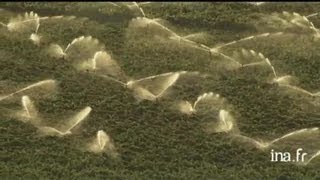 Australie  arrosage des vignobles [upl. by Grethel]