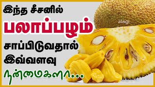 பலாப்பழம் சாப்பிடுவதால் கிடைக்கும் 10 நன்மைகள்  Top 10 Health Benefits of Jackfruit  Health Tips [upl. by Sonia]