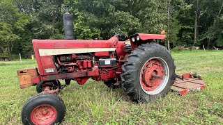 Bush Hogging With A Farmall 856 Diesel [upl. by Erelia665]